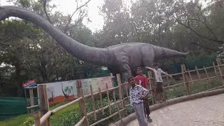 #zoo#