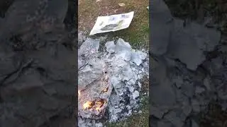 Fire Ad. 13520 Blue Sky Rd. Real ID Bear. Vector. Plants. An Appeal To Heaven. United States Flag.
