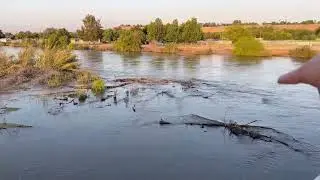 Kern River at Manor Bridge - Potential Flooding Soon!