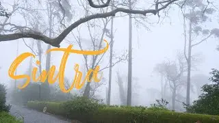 Sintra | Castelo dos Mouros | Pena Palace | Cabo de Roca