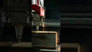 DNE D-Tube 20