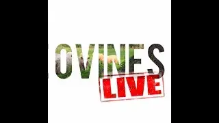 The Ovines, live @ Poco Loco 23/08/18