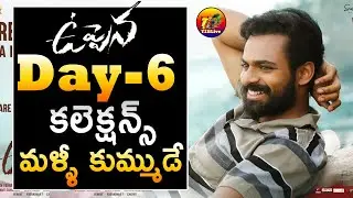 Uppena 6th Day Collections| Uppena Day 6 Collections| Uppena Box office 6th Day Collections