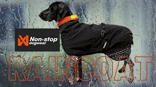 Our Favorite Dog Raincoat: The Fjord Raincoat from Non-stop Dogwear
