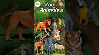 Zoo Animals Name in English | Learn Zoo Animals for Kids with Pictures