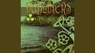 Reels (Cooley / The Dawn / Mullingar Races)