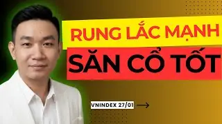 Thị Trường Rung Lắc Mạnh: Cơ Hội Săn Cổ Phiếu Tốt Đã Xuất Hiện