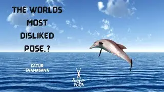 Beginners Yoga Functional Dolphin Pose