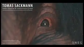 Tomas Sackmann / Demoreel 2025 / Senior Character & Creature Artist / Lead