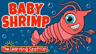 Baby Shrimp #babyshark #babyshrimp #musicvideo ♫ Kid Songs by The Learning Station