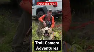 Shawn and Apollo, Trail Camera Adventures #shorts