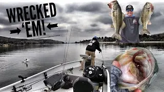 My Best 5 Bass Limit, One Year Later!