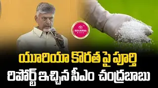 CM Chandrababu Press Meet | No Urea Shortage In AP | YSRCP Fake News | Suvarna Media