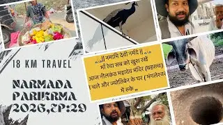 Эпизод:29 От Нилканта до дома Джьоти Бена #NarmadaParikrama #narmadayatra #narmadaparikrma #narna...