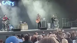 Stray cats strut ledge amplifier wait park, mn 2024