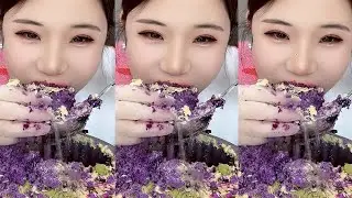 YY / ASMR ICE EATING WITH MATCHA + MILK POWDER + PASSION FRUIT #eatingice #mukbangiceeating / 洋妮儿💋冰