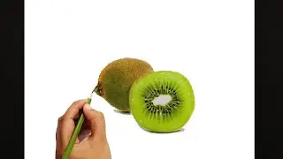 Drawing Realistic Kiwi in Colored Pencil - easy and step by step.