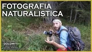 LA FORESTA DEI RAGNI &bull; Riserva Naturale Orientata Somadida &bull; DOLOMITI