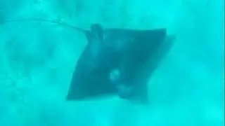 DSCN3437