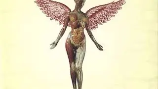 Nirvana - Heart-Shaped Box (Standard Tuning: Drop D)