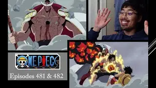 Whitebeard's Final Order! One Piece Episode 481 & 482 Reaction