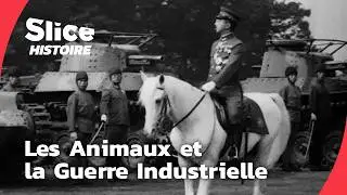 La Seconde Guerre Mondiale : Quand les Animaux D&eacute;fient l&rsquo;Acier | SLICE HISTOIRE | DOC COMPLET