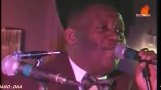 SYSTEM BAND LIVE  : DNA