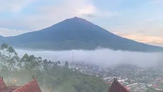 kayu aro kerinci jambi