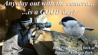 Isn't EVERY day out with the camera, a good day? Marsh Tits & More! Bird and wildlife photography