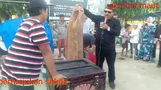 Akrobat maut