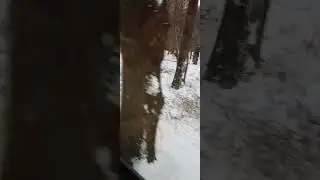 Поїздка на поїзді ТУ7А вагон люкс Макс комфорт. 