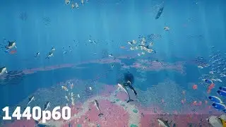 ABZU First Gameplay @ 1440p (60ᶠᵖˢ) /GTX 1080 ✔