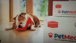 pet meds commercial