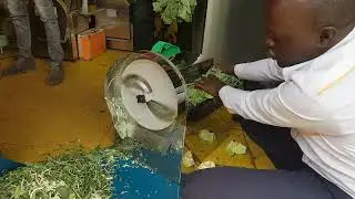 Do you have a vegetable machine in your school or hospital  ? call me for one 0720698262 .