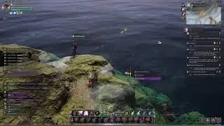 Throne and Liberty - Fishing Guide