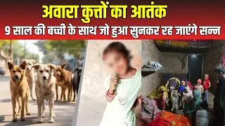 Sambhal Breaking News : अवारा कुत्तों का आतंक, 9 साल के बच्ची के साथ जो हुआ सुनकर रह जाएंगे सन्न |