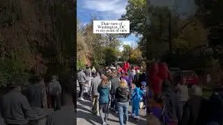 When people think of the D.C