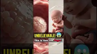 Day 5 After Fertilization: The Shocking Transformation You Never Knew!|#short #animation #science