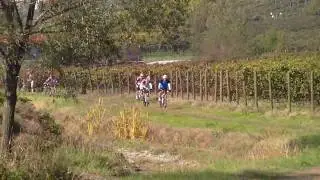mtb4all  fortebassi
