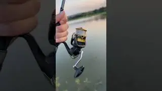 Shimano fx at its best!