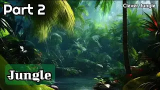 Jungle 🏞️ Music Video 