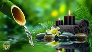 Sleeping Music for Deep Sleeping 😴 Bamboo Water Sound, Relieves Stress, Calm Anxiety and Depression