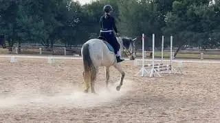 My first time falling off a horse | attempting to canter