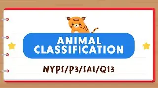PSLE SCIENCE MADE SIMPLE EP177 | Animal Classification | Identify The Characteristics Of A Fish 🐟