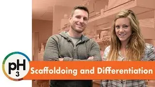 Scaffolding and Differentiation - The Pedagogy Hypothesis Episode 3