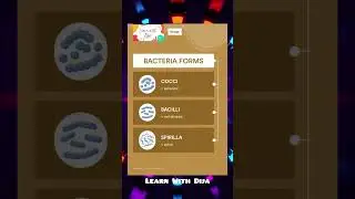 Forms of Bacteria are Cocci, Bacilli  and Spirilla