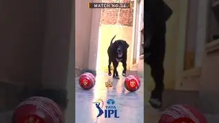 RCB VS PBKS I MATCH PREDICTION | IPL 2025 | MATCH NO.34 | #ipl2025#pbks #rcb#predictions #shortvideo