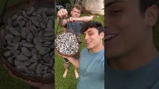 Cooking Clams