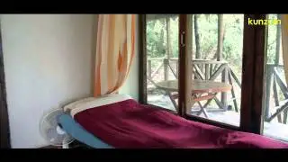 Pangot, Uttarakhand, India: Jungle Lore Birding Lodge | HOTELS, WILDLIFE