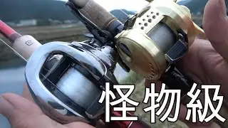２１アンタレスvs２１カルカッタ【死闘レビュー】